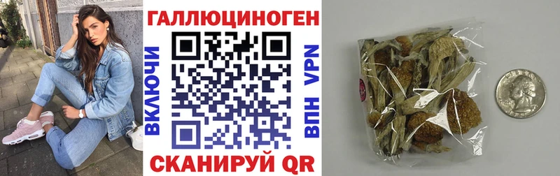 Купить где  Артёмовск  Галлюциногенные грибы MAGIC MUSHROOMS 